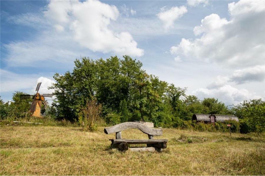 Le Chalet Du Chemin Et Sa Roulotte Berviller-en-Moselle Экстерьер фото