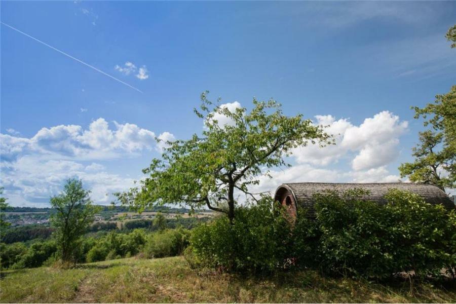 Le Chalet Du Chemin Et Sa Roulotte Berviller-en-Moselle Экстерьер фото