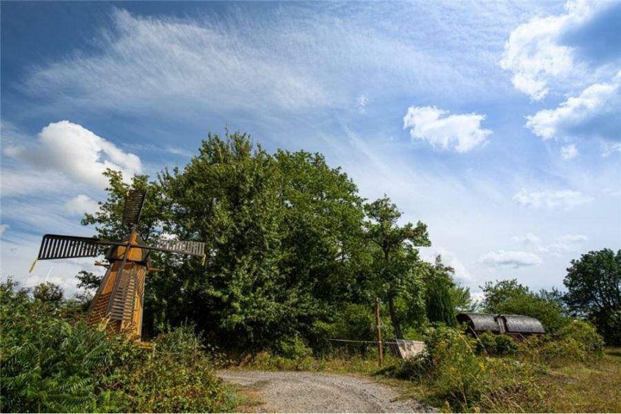 Le Chalet Du Chemin Et Sa Roulotte Berviller-en-Moselle Экстерьер фото